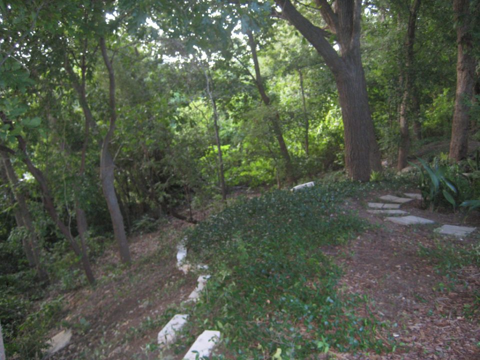 True Incidents Of Glitch In The Matrix From Around The World 3 Creepy Woods