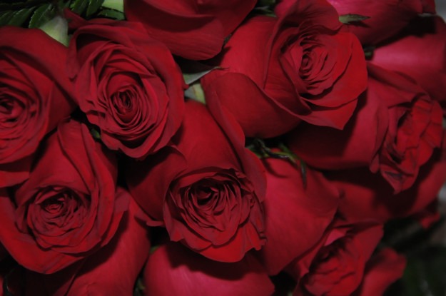 True Incidents Of Glitch In The Matrix From Around The World 4 Red Roses