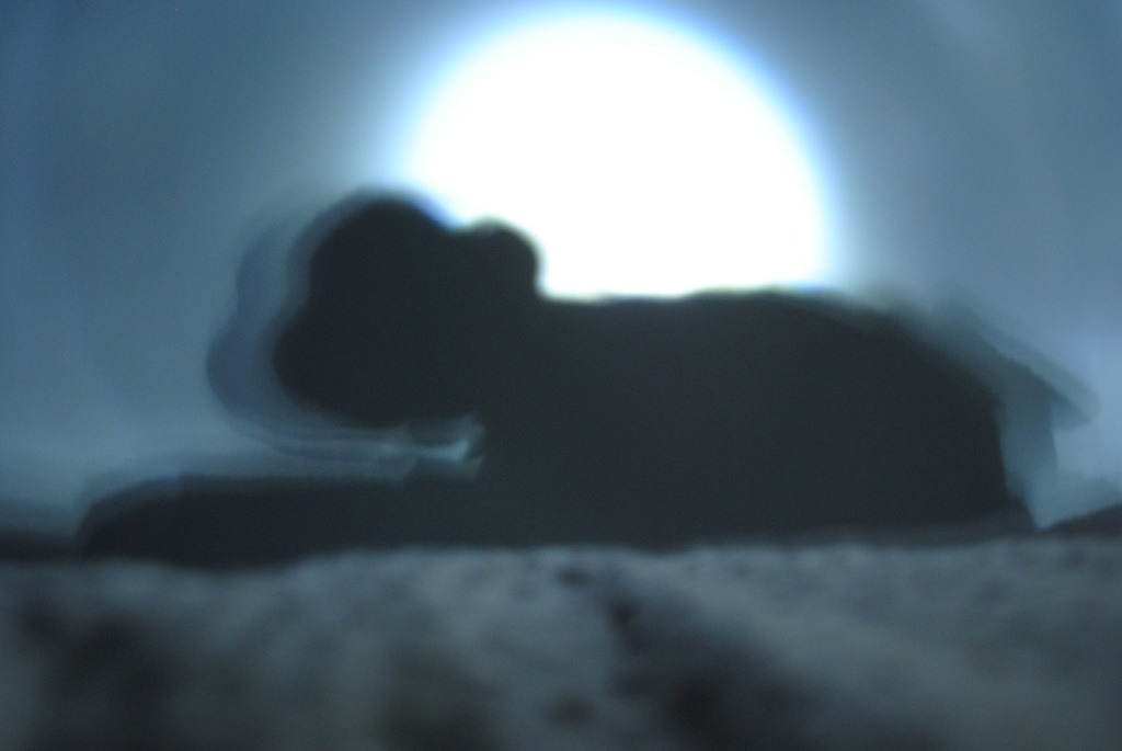 Sleep paralysis