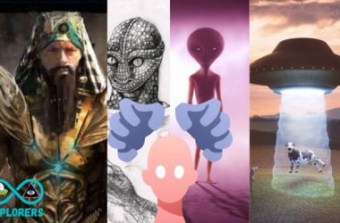 Alien species that visit us