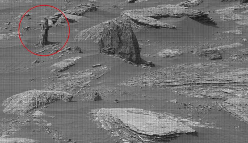 NASA Images Show The Remains of a Petrified Tree On Mars