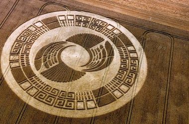 Crop Circles are extraterrestrial messages of the future