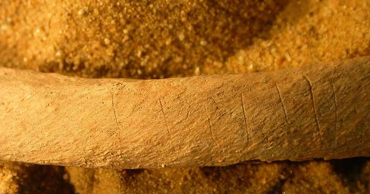 New study highlights resistance against zombies in Medieval England