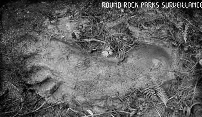 Department of Parks officials post evidence of Bigfoot in Texas