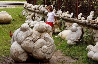 http inlinethumb07.webshots.com 43270 2679820070103582559S600x600Q85