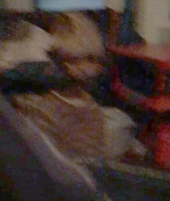 Adam Ellis - New York Illustrator Haunted by a Demonic Baby and Presents Eerie Photo Evidence