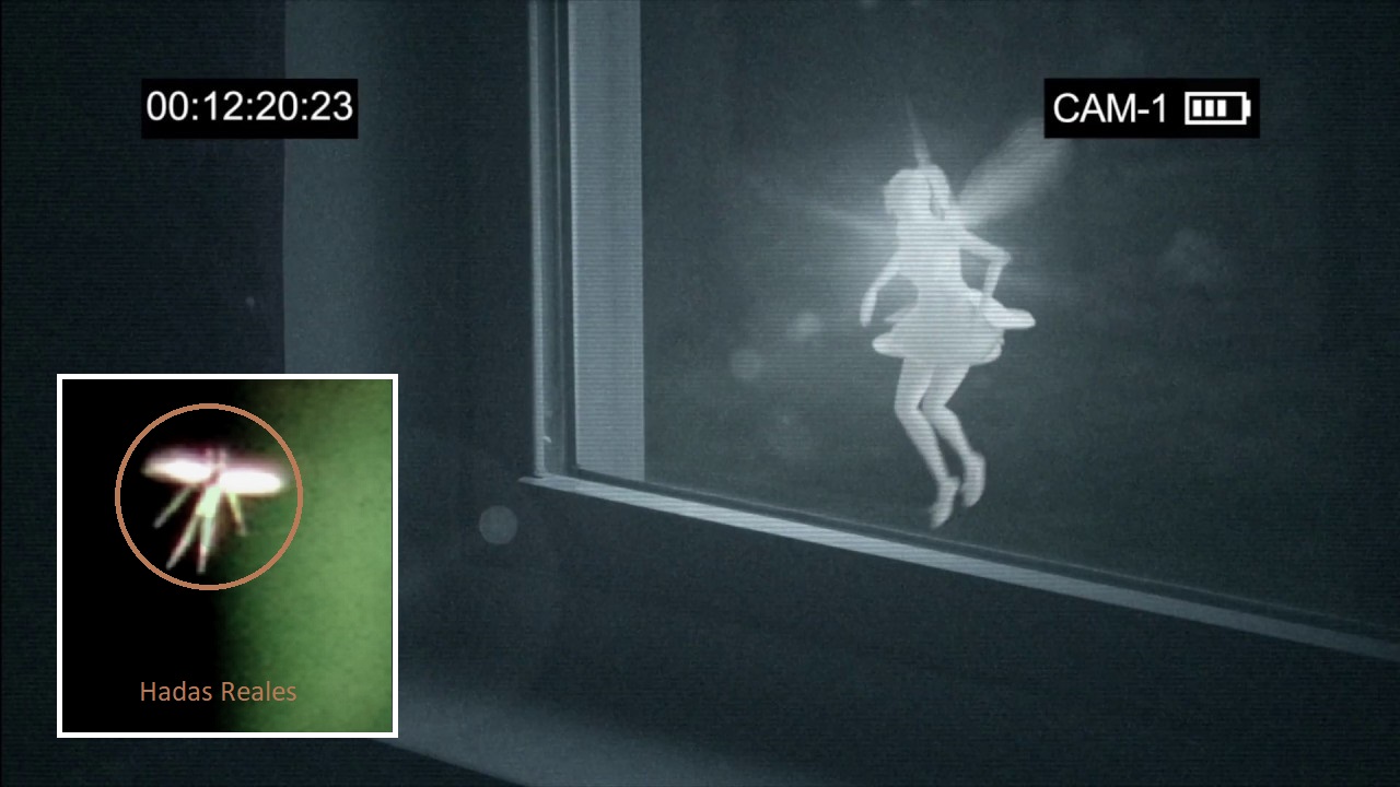 The Mystery of the Fairies: Are these the Definitive Evidence of their Existence?