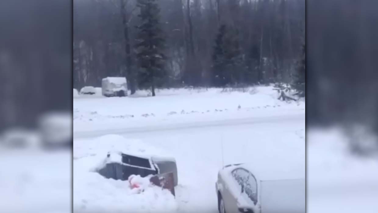They record a terrifying sound in a forest in British Columbia and nobody knows it’s origin