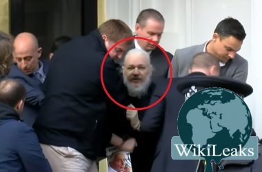 assange wiki portada