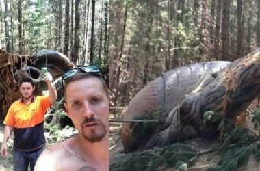 ovni australia portada 1