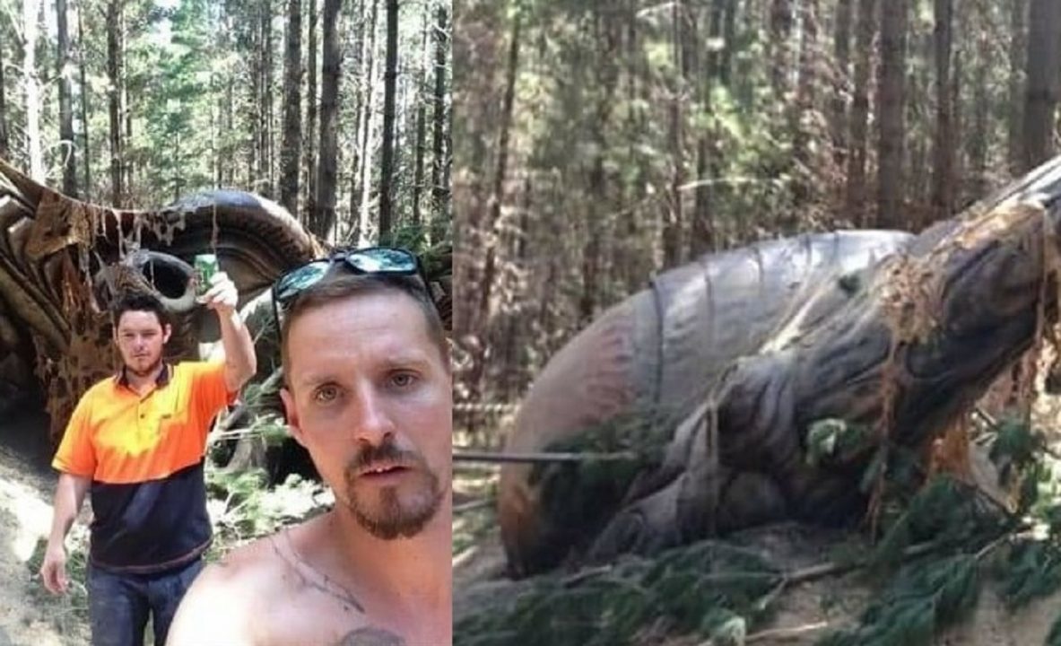 Photographs of a supposed alien ship dropped in Australia