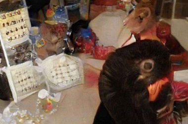 twitter inquietante imagen