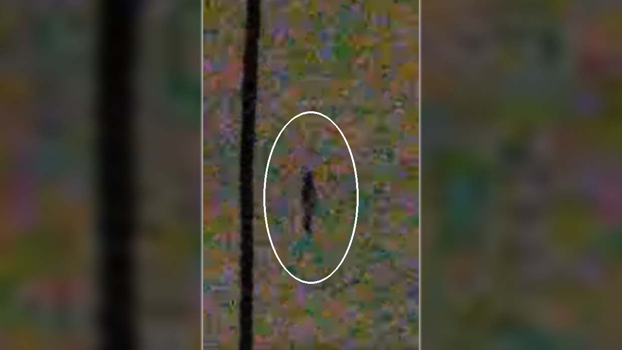 Several people see a flying humanoid over California