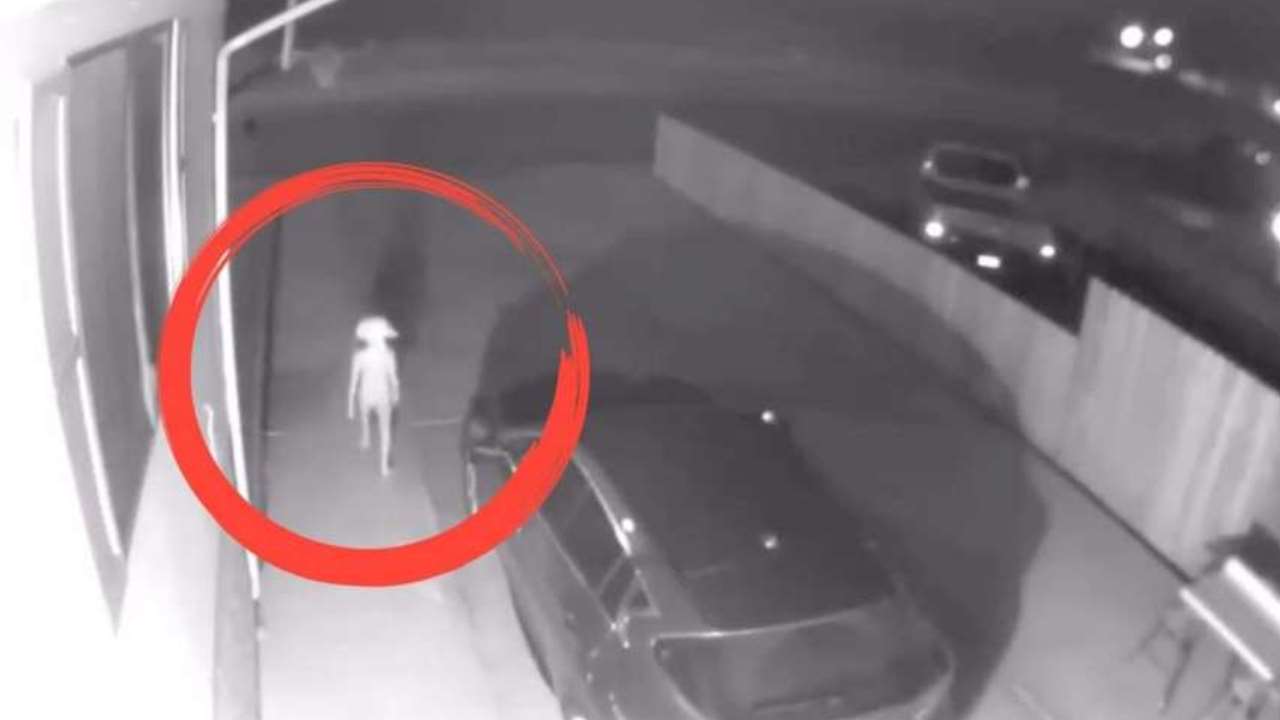 Security camera captures strange creature like an Elf