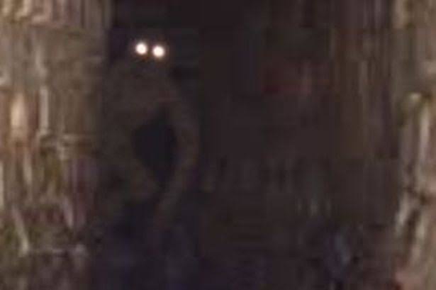 Reptilian like creature recorded in the drainage of Great Britain (Video)