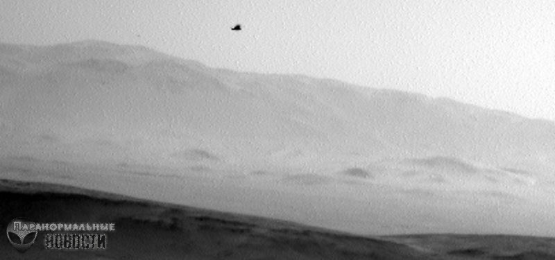 Images from  NASA Curiosity rover shows a bird on Mars