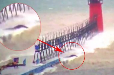 misteriosa criatura lago michigan