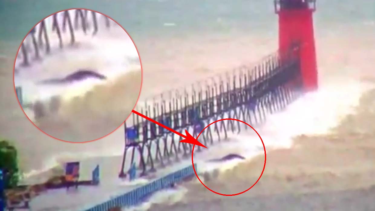 A mysterious creature appears on Lake Michigan during a storm
