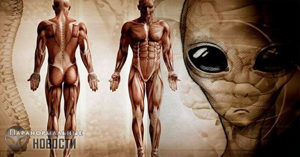 Prison Planet Theory: Humans are the Real Aliens on Earth