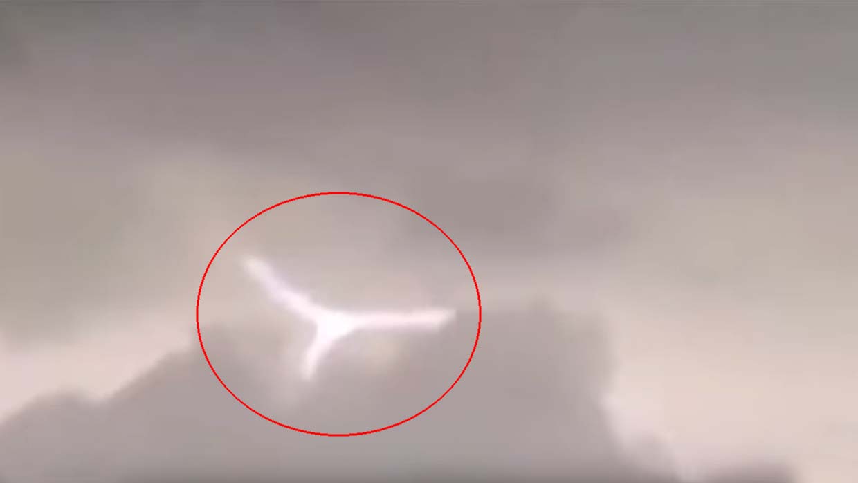 The strange bright creature spotted in Brazil