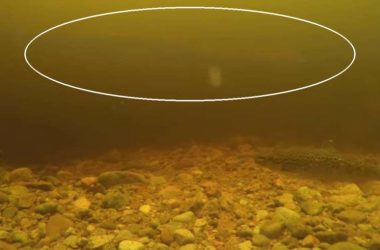 camara submarina lago ness 850x491