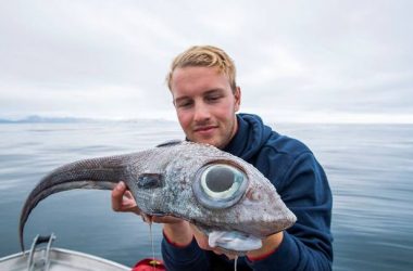 pez rata prehistorico1