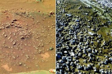 manantial marte comparacion