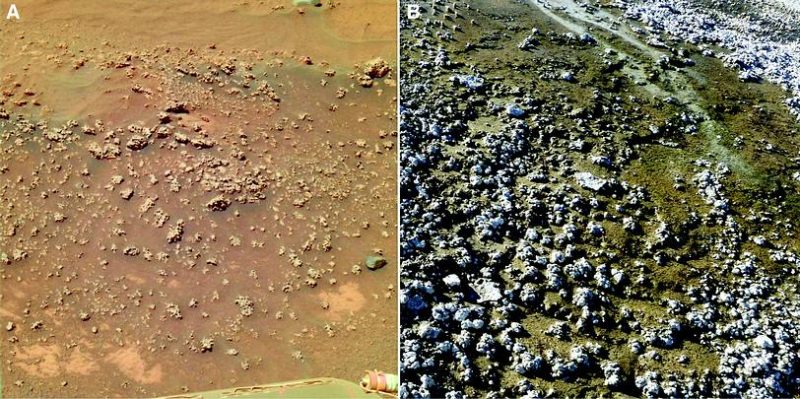 manantial marte comparacion