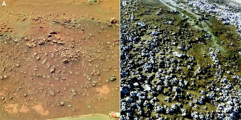 Evidence of an old hot spring on Mars
