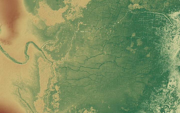 Huge network of Mayan channels and crops found under the Belize jungle