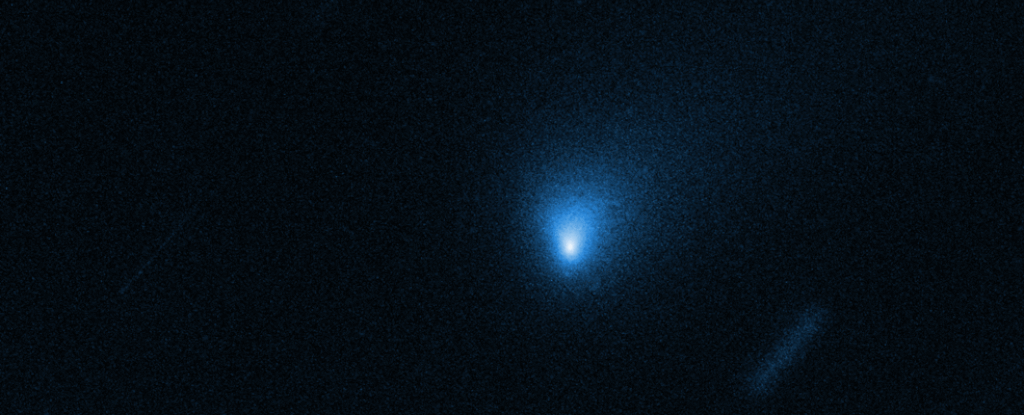 The interstellar comet Borisov brings “alien water” from outside the Solar System