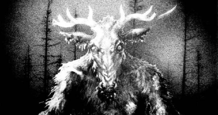 Biologists cannot explain the frightening howls in a Canadian forest 1 howls in a Canadian forest