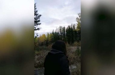 aterradores aullidos bosque 850x491