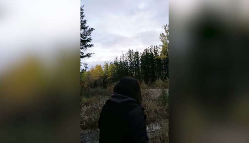 Biologists cannot explain the frightening howls in a Canadian forest
