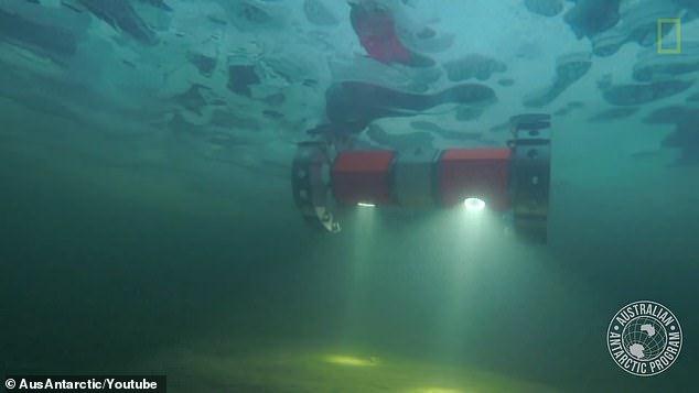 The underwater rover BRUIE that will explore Jupiter’s moon Europa was tested in Antarctica