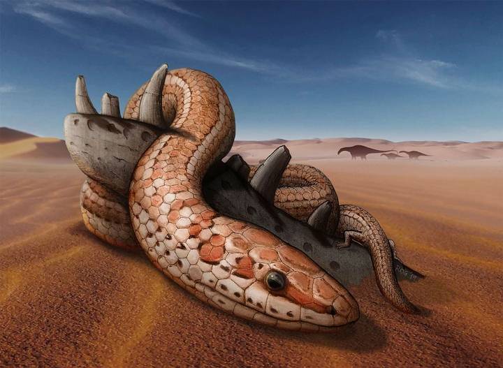 Researchers reveal what the skull of the biblical snake Najash was like