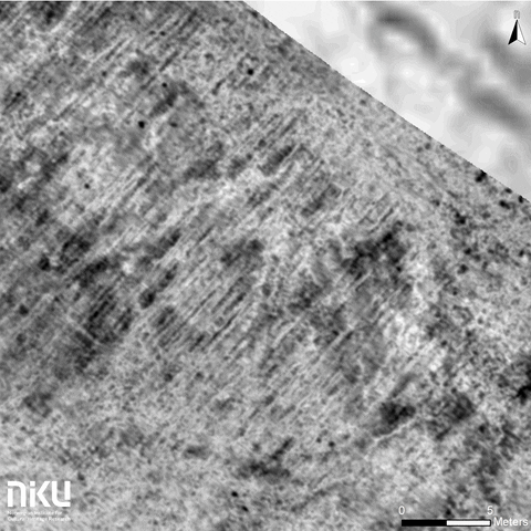 Viking Ship Found Buried In a Norwegian farm