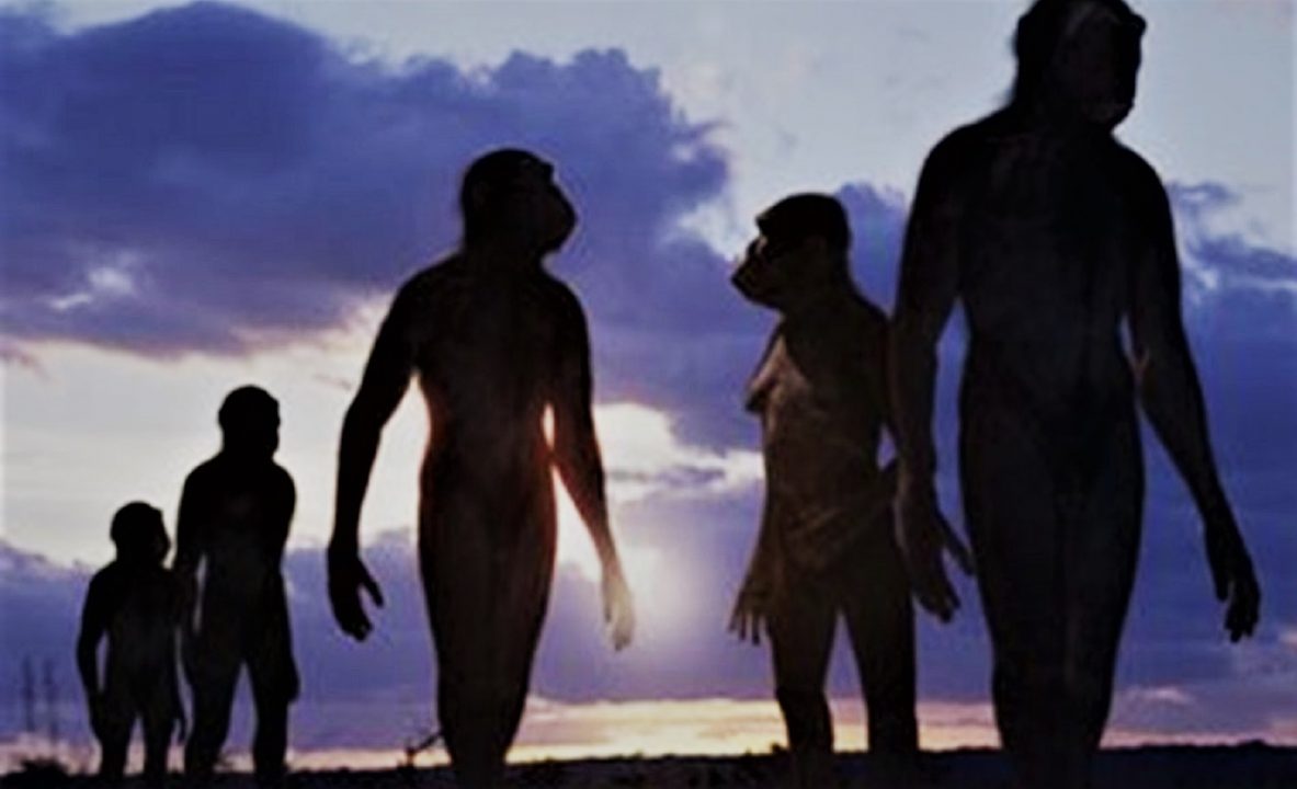 Researchers found Fossils of 7 million years old primates that walked like humans