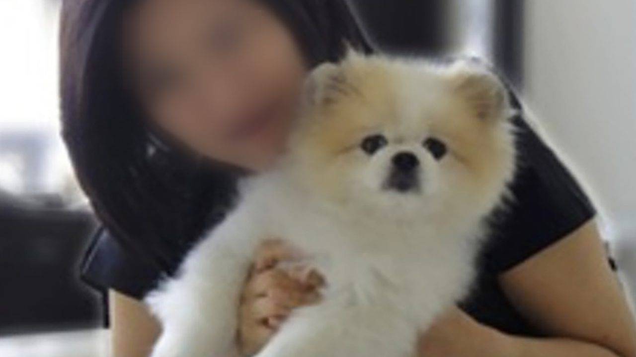 Can Pets be Infected by Coronavirus (COVID-19)?