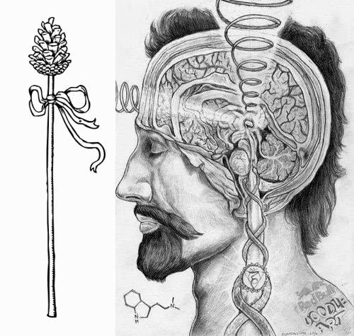 The monarchical scepter: magic tool related to the pineal gland 2 monarchical scepter