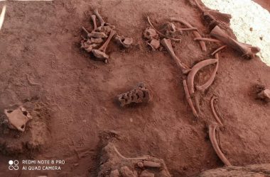 56CDF34C F41E 4A97 814B 73E452033A4F