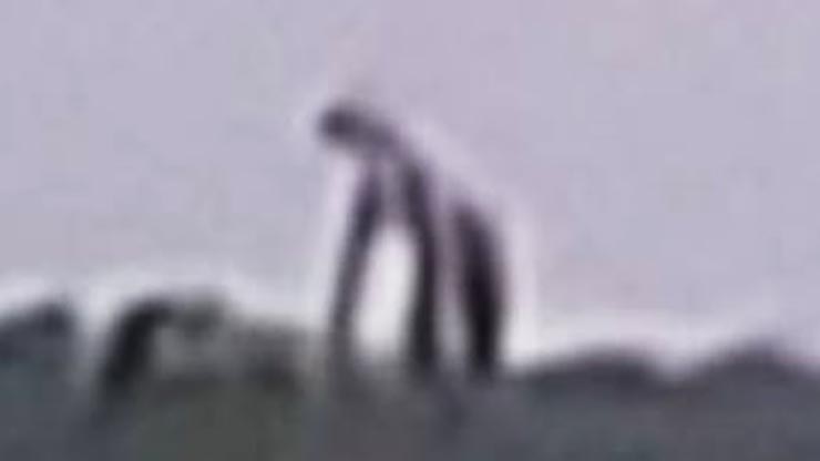 Citizens Photograph A Gigantic Creature On A Mountain In Mexico 2 Citizens Photograph A Gigantic Creature On A Mountain In Mexico