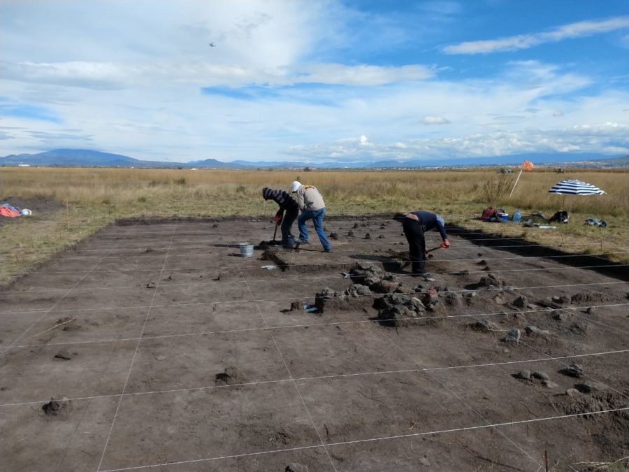 More than 60 Mammoth fossils found at the Santa Lucia airport 1 Mammoth fossils