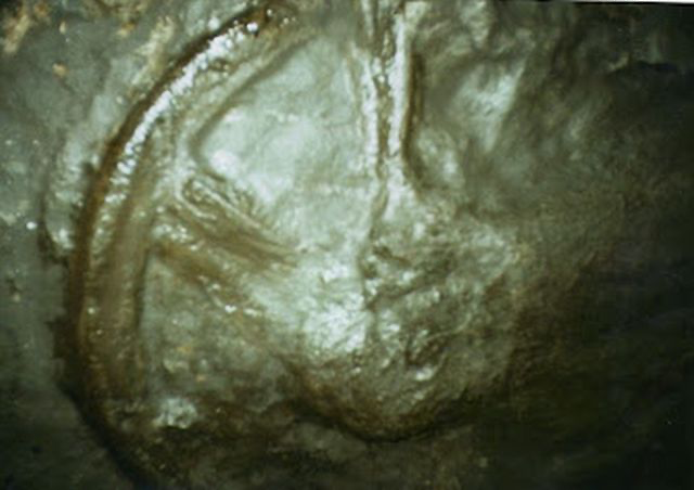 300 Million Year Old Wheel