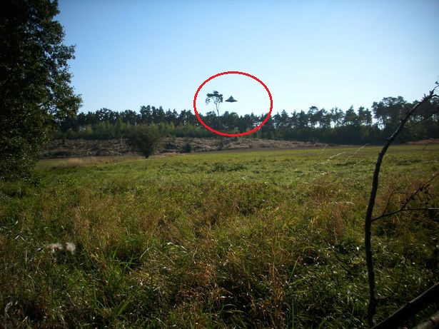 Spinning Top Shaped UFO Filmed In Poland Ufologists Are Sure That The Pictures Are Genuine 1 Spinning Top Shaped UFO Filmed In Poland