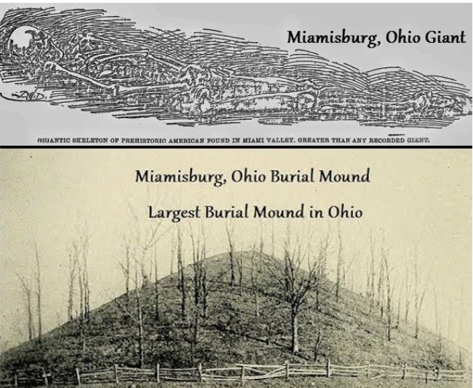 Discovery Of Giant Skeletons By Archaeologists: Truth or Hoax?