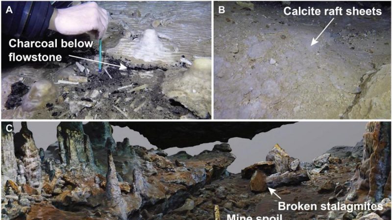 417B49DA F100 4605 8E06 072562244B84