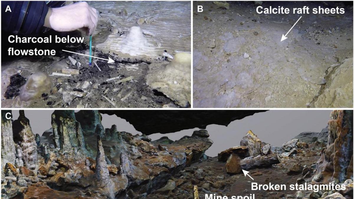 Civilisation 8000 Year Older Than Mayans Found In Mexico