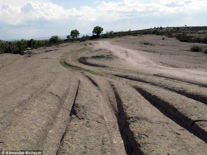 14 million year old vehicle tracks
