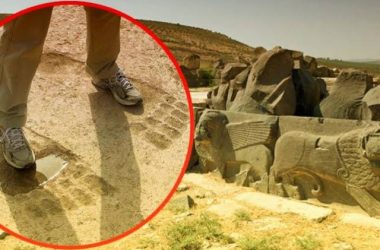 A0468610 69E4 4565 98CE A748096A7738